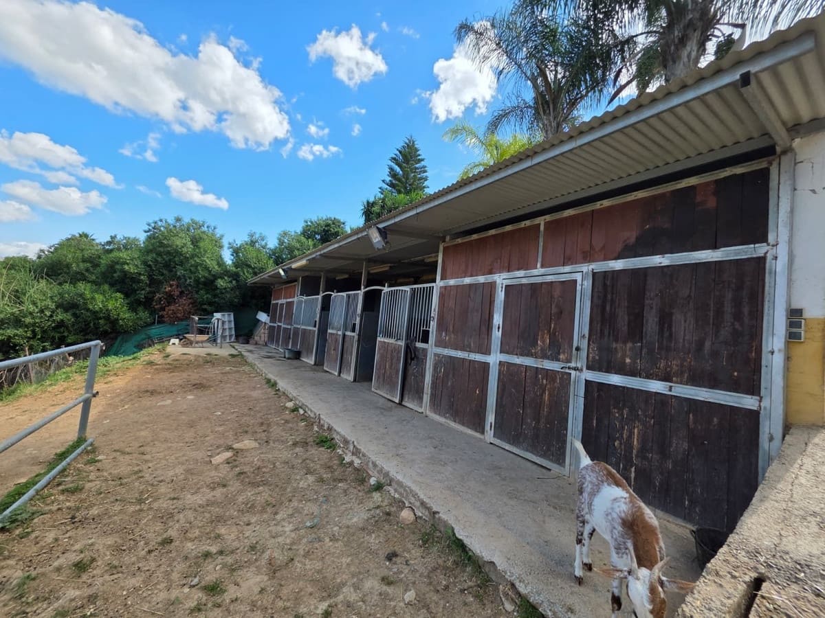 3 slaapkamer Commercieel te koop in Cartama met garage - € 295.000 (Ref: 9965786)