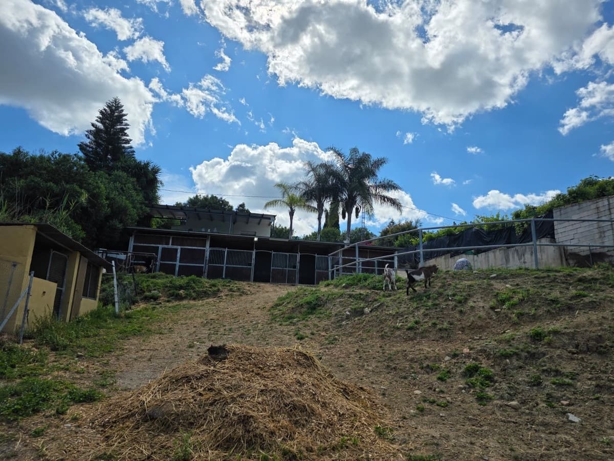 3 slaapkamer Commercieel te koop in Cartama met garage - € 295.000 (Ref: 9965786)