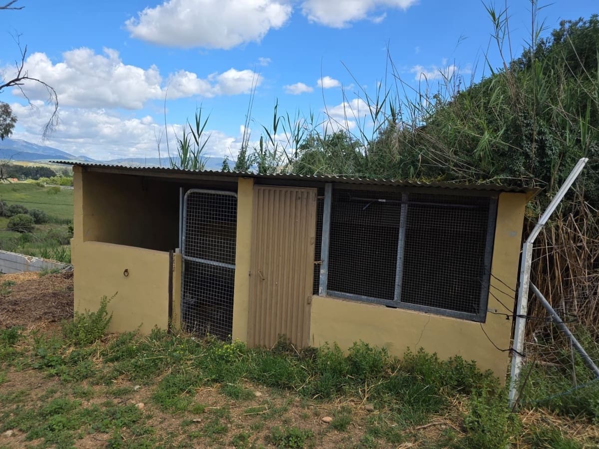 3 slaapkamer Commercieel te koop in Cartama met garage - € 295.000 (Ref: 9965786)