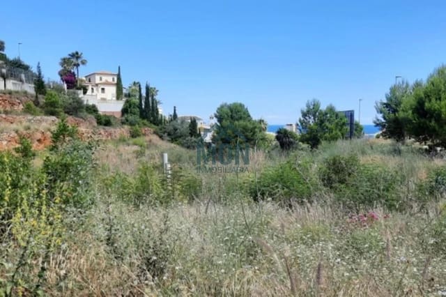 Area Edificabile in vendita in Centro Urbano, Dénia - 2.400.000 € (Rif: 10078767)