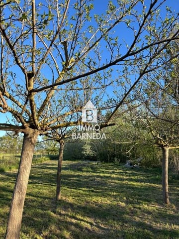 Tomt till salu i Castelló d'Empúries - 19 000 € (Ref: 9770979)