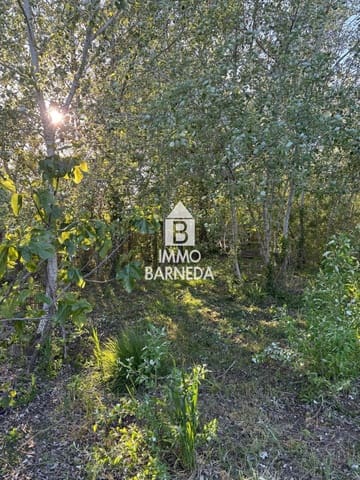 Tomt till salu i Castelló d'Empúries - 19 000 € (Ref: 9770979)