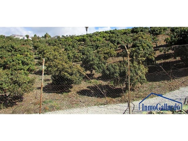 Bouwgrond te koop in Benajarafe, Vélez-Málaga - € 1.166.550 (Ref: 3840629)