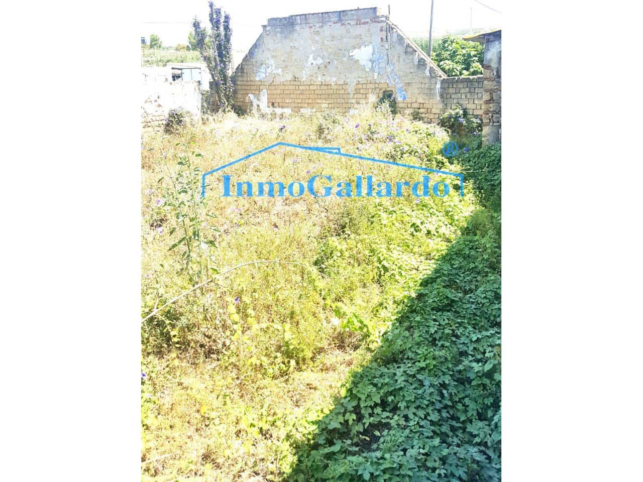 Gewerbe zu verkaufen in Velez-Malaga - 372.000 € (Ref: 4616485)