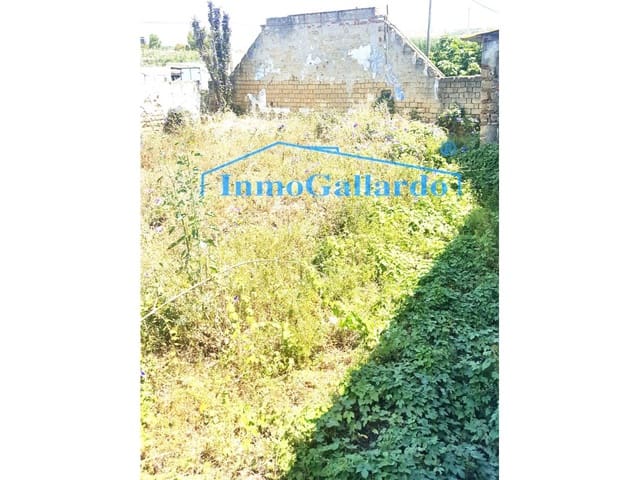 Gewerbe zu verkaufen in Vélez-Málaga - 372.000 € (Ref: 4616485)