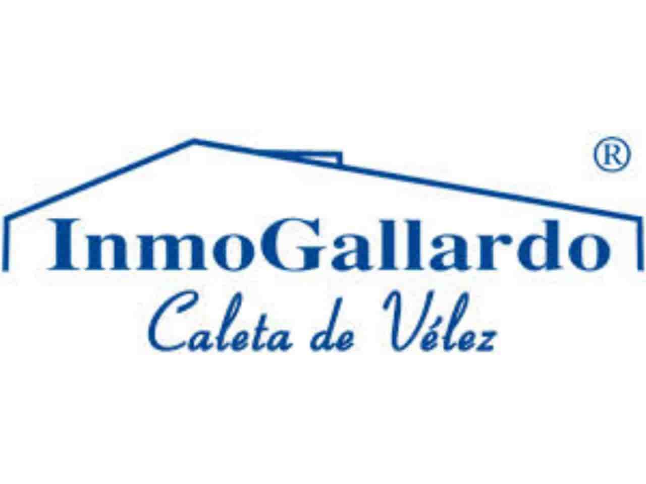 Gewerbe zu verkaufen in Velez-Malaga - 372.000 € (Ref: 4616485)