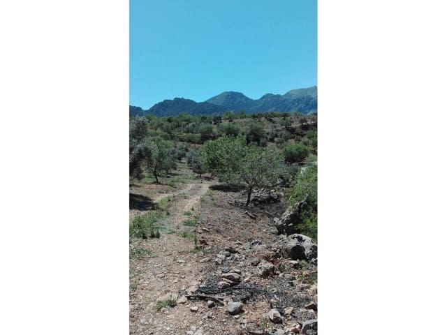 Byggetomt til salgs i Ronda - € 137 865 (Ref: 4862859)