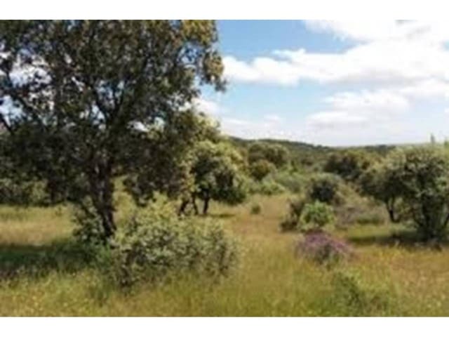 Byggetomt til salgs i Ronda - € 137 865 (Ref: 4862859)