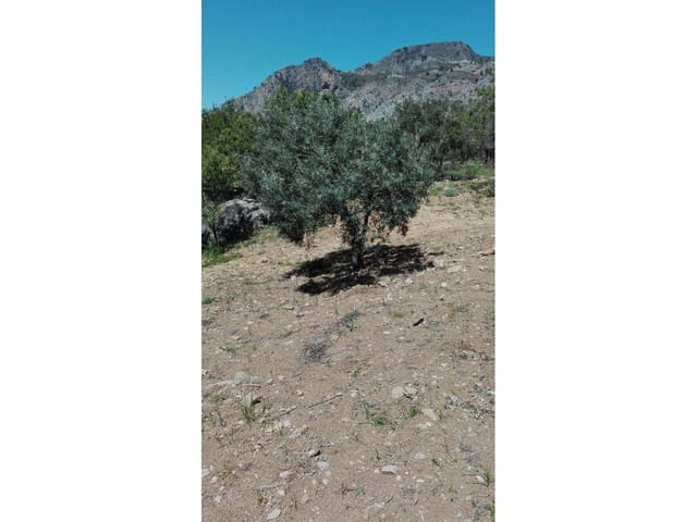 Byggetomt til salgs i Ronda - € 137 865 (Ref: 4862859)