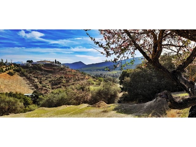 Mark till salu i Monda - 110 000 € (Ref: 6641216)