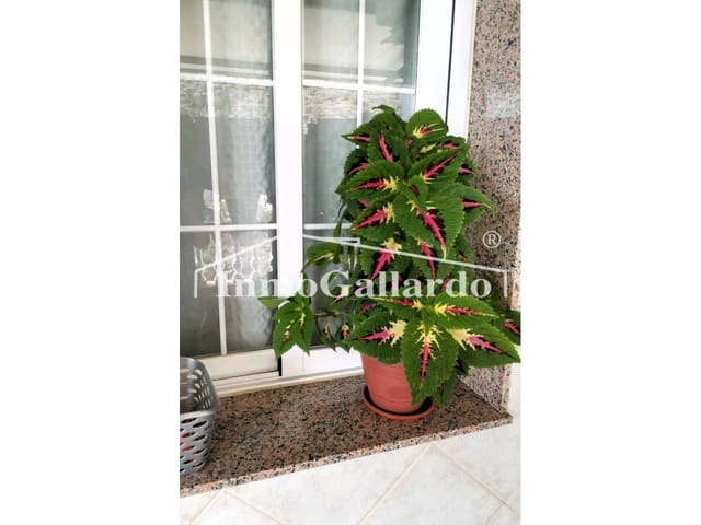 5 sovrum Villa till salu i Sayalonga med garage - 249 520 € (Ref: 7695356)