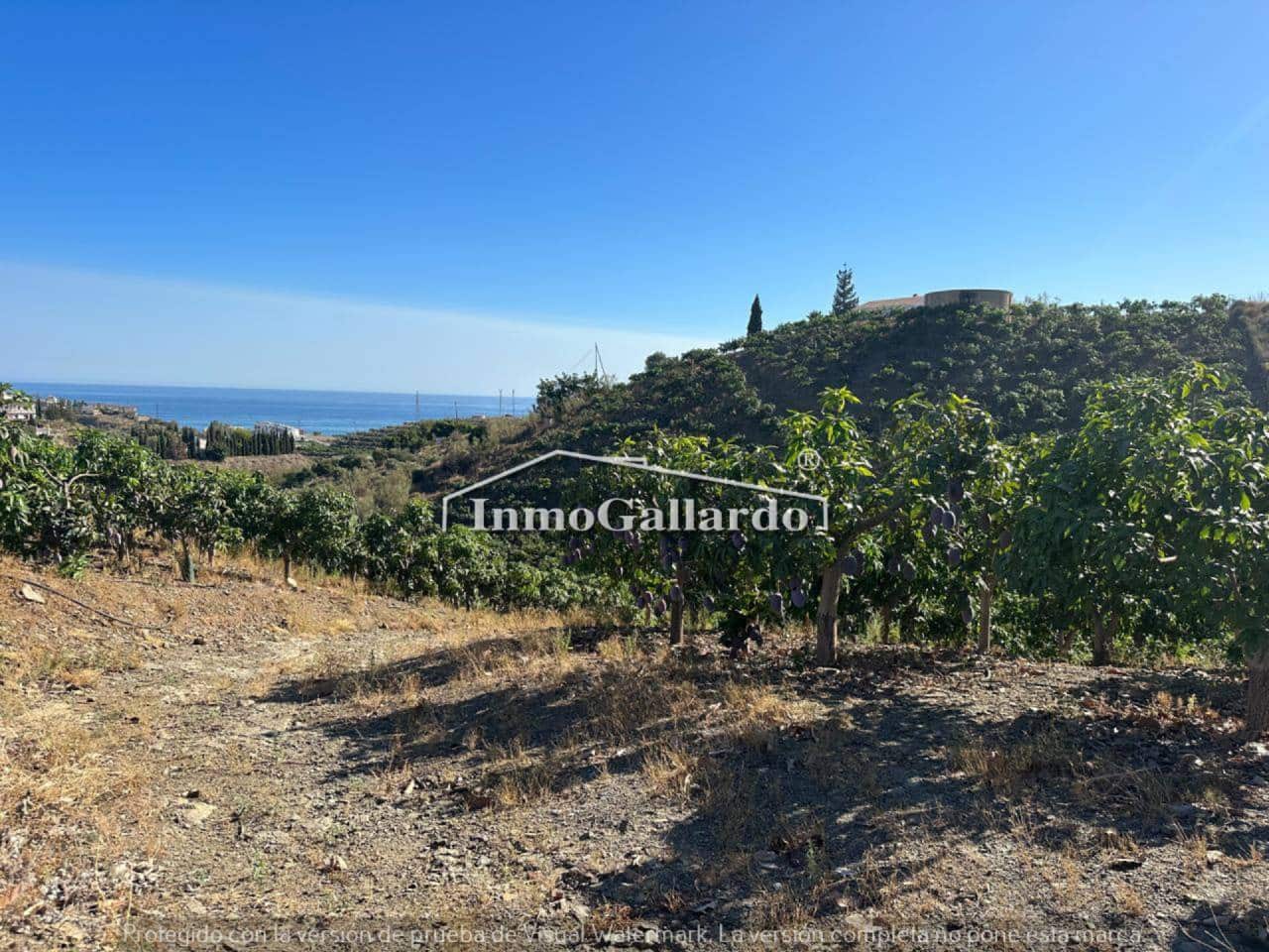 Bouwgrond te koop in Velez-Malaga - € 550.000 (Ref: 7847597)