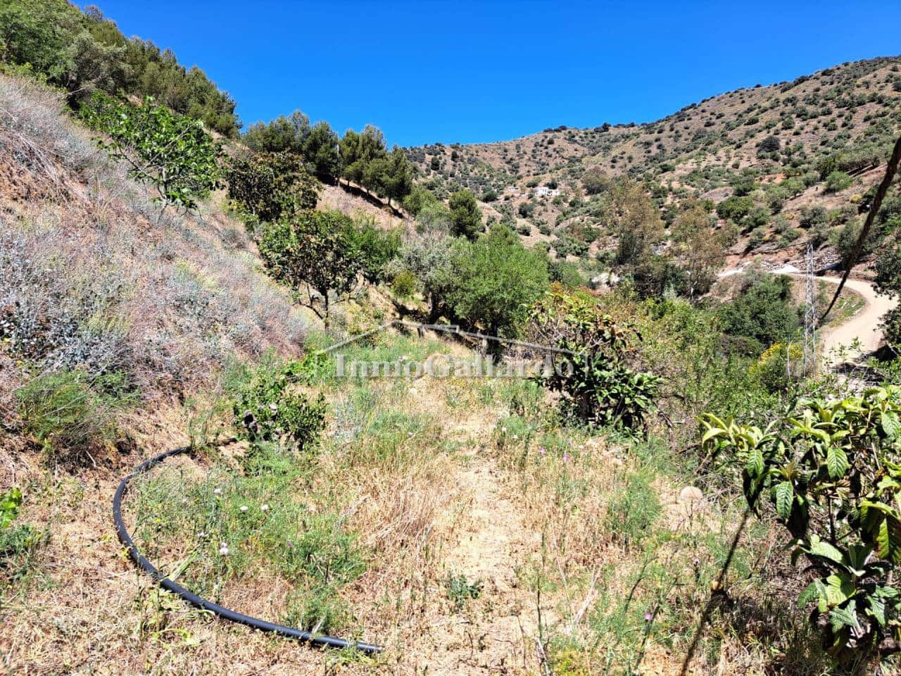 Grunde uden byggetilladelser til salg i Totalan - € 127.500 (Ref: 7929749)