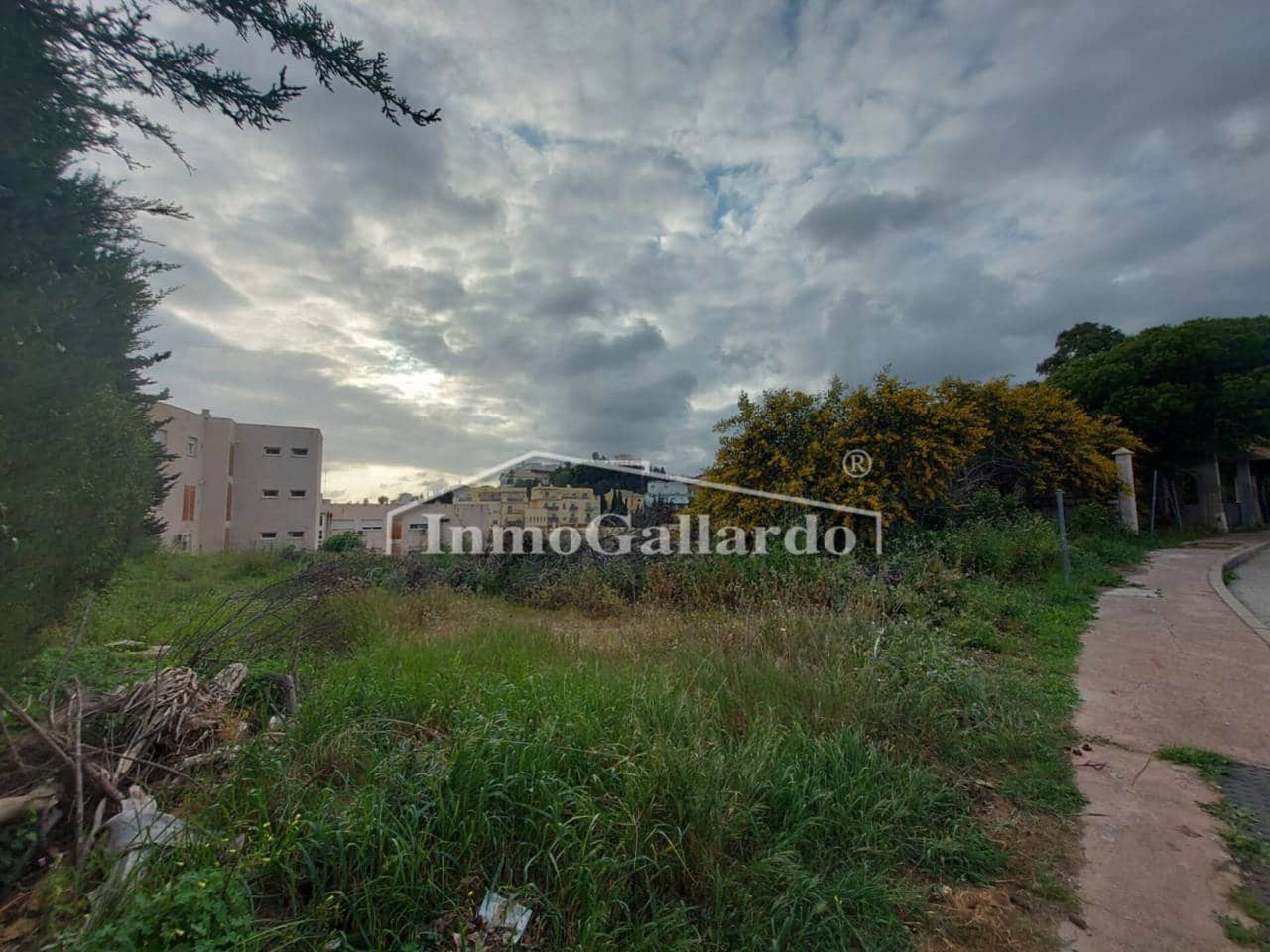 Terre non Aménagée à vendre à Torre de Benagalbon - 180 000 € (Ref: 8003417)