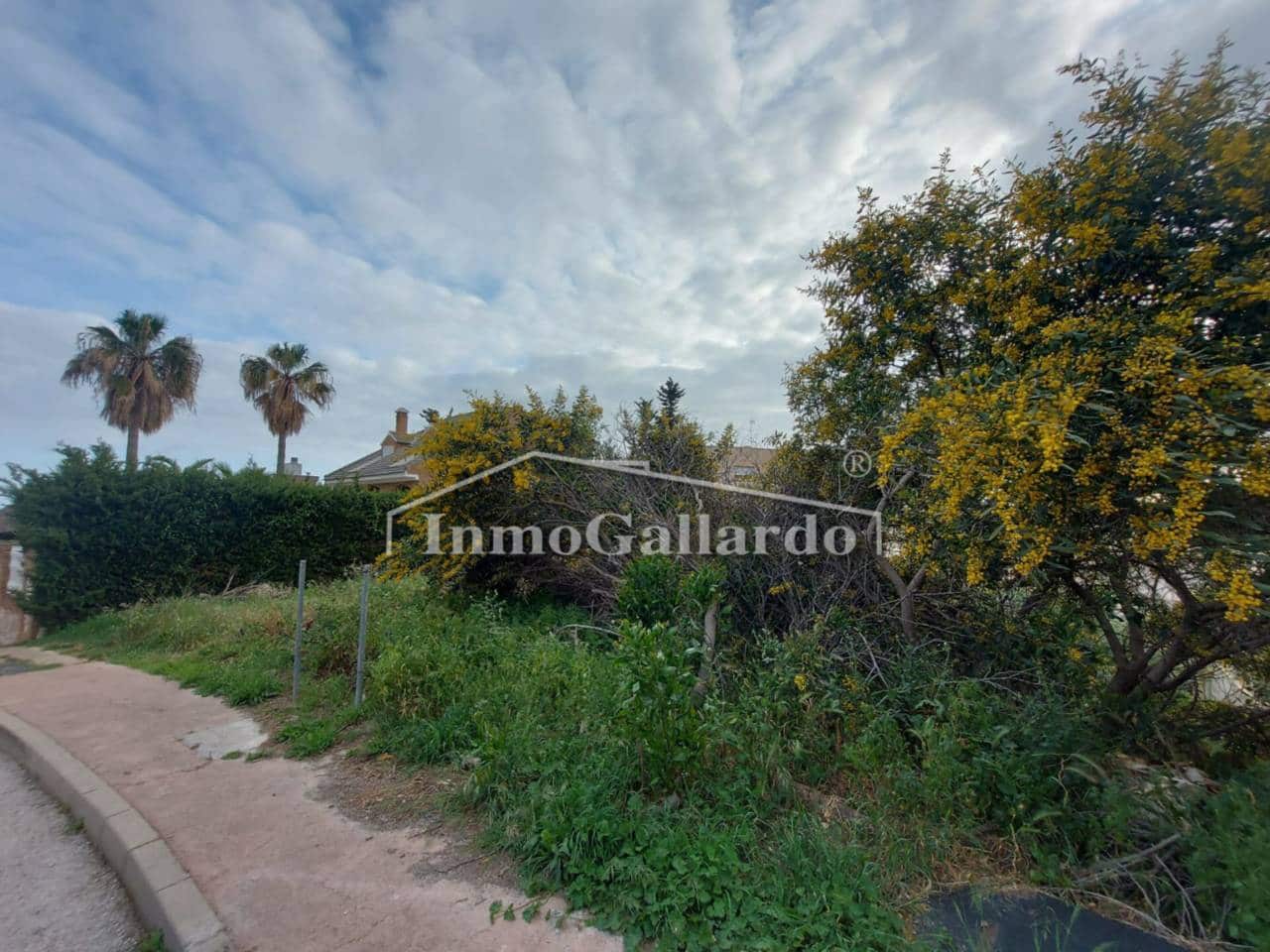 Terre non Aménagée à vendre à Torre de Benagalbon - 180 000 € (Ref: 8003417)