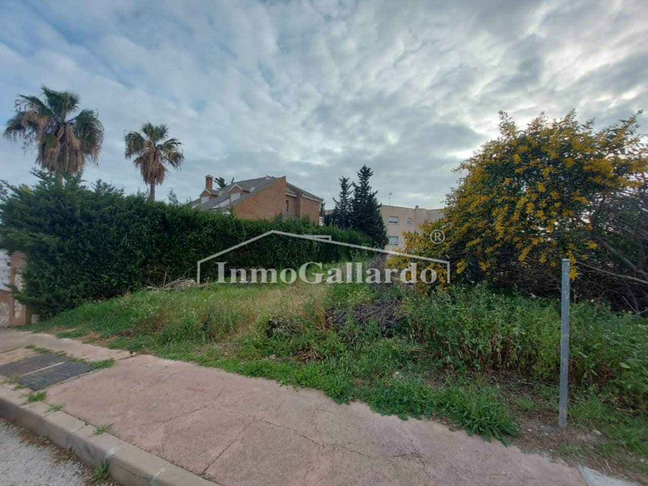 Terre non Aménagée à vendre à Torre de Benagalbon - 180 000 € (Ref: 8003417)