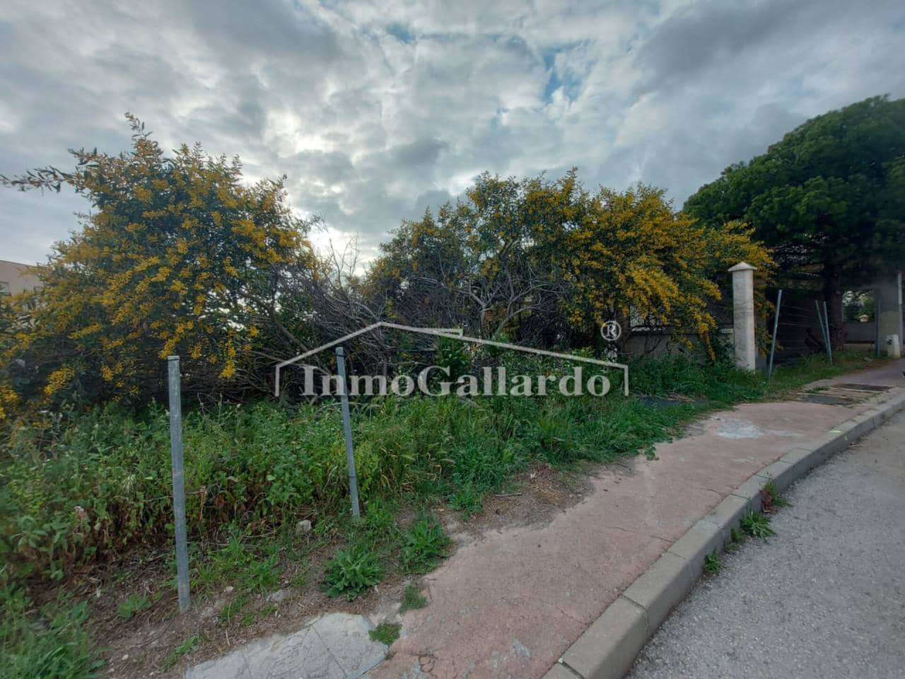 Terre non Aménagée à vendre à Torre de Benagalbon - 180 000 € (Ref: 8003417)