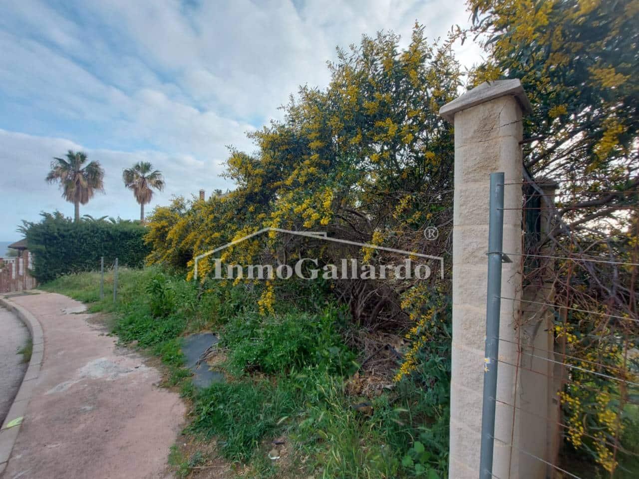 Terre non Aménagée à vendre à Torre de Benagalbon - 180 000 € (Ref: 8003417)