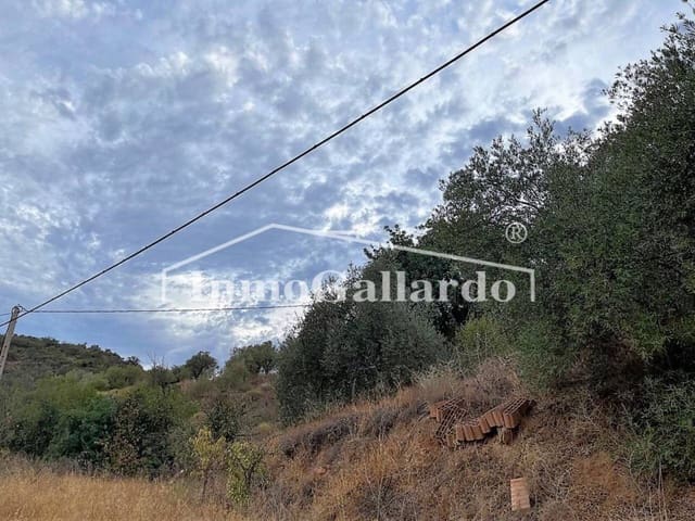 2 sovrum Hus till salu i Comares - 192 000 € (Ref: 8115773)