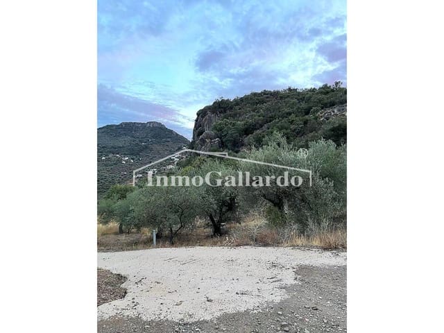 2 sovrum Hus till salu i Comares - 192 000 € (Ref: 8115773)