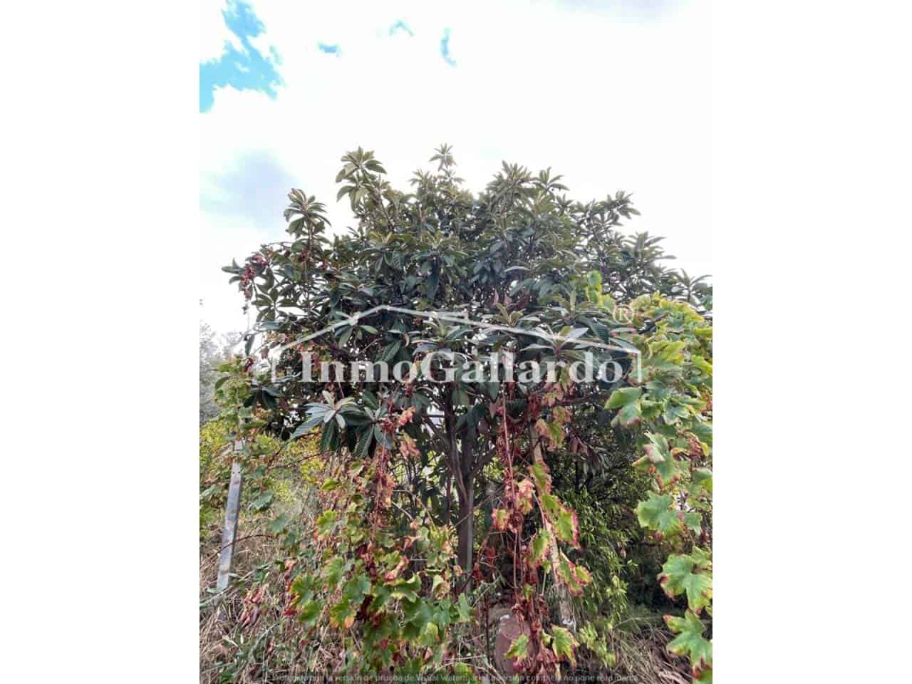 2 soveværelse Byhus til salg i Comares - € 192.000 (Ref: 8115773)