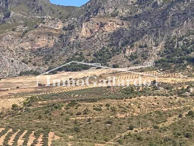 Ubebygd land til salgs i Ronda - € 92 000 (Ref: 8115778)