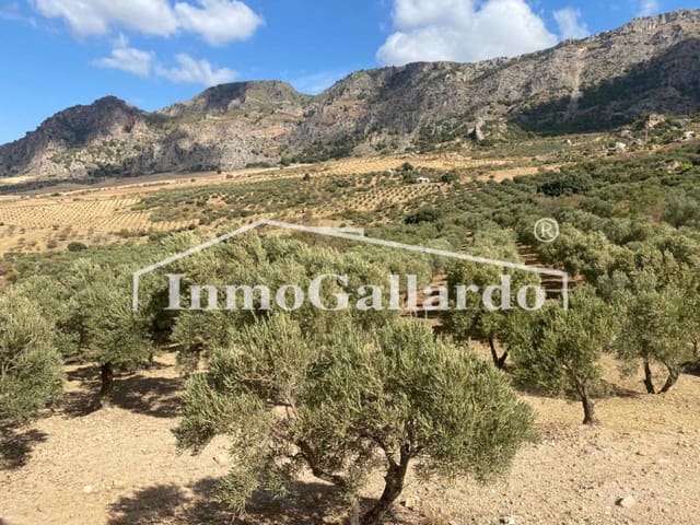 Ubebygd land til salgs i Ronda - € 92 000 (Ref: 8115778)