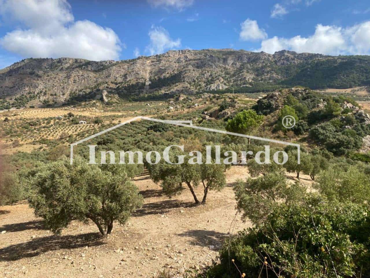 Grunde uden byggetilladelser til salg i Ronda - € 92.000 (Ref: 8115778)