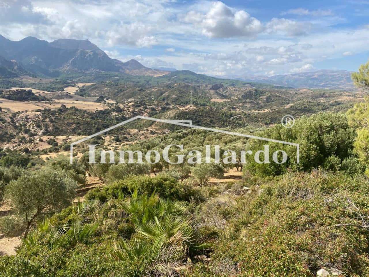 Grunde uden byggetilladelser til salg i Ronda - € 92.000 (Ref: 8115778)