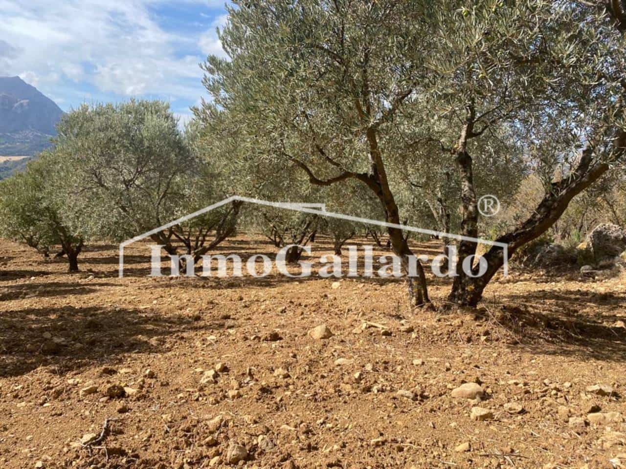 Grunde uden byggetilladelser til salg i Ronda - € 92.000 (Ref: 8115778)