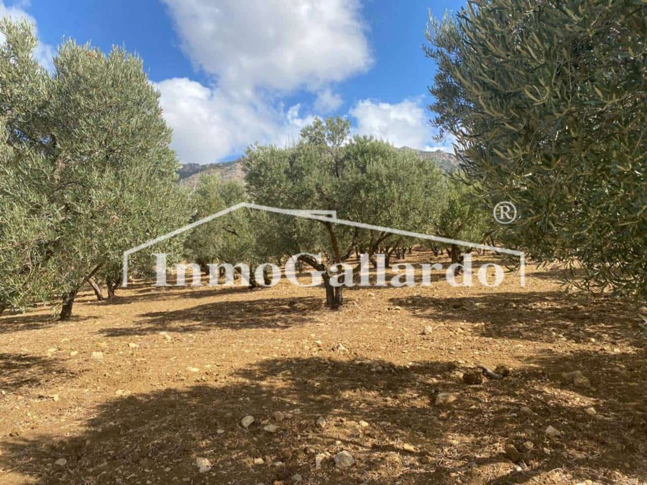 Grunde uden byggetilladelser til salg i Ronda - € 92.000 (Ref: 8115778)