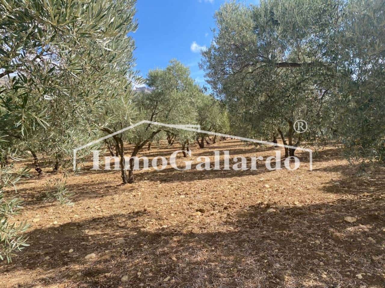 Grunde uden byggetilladelser til salg i Ronda - € 92.000 (Ref: 8115778)