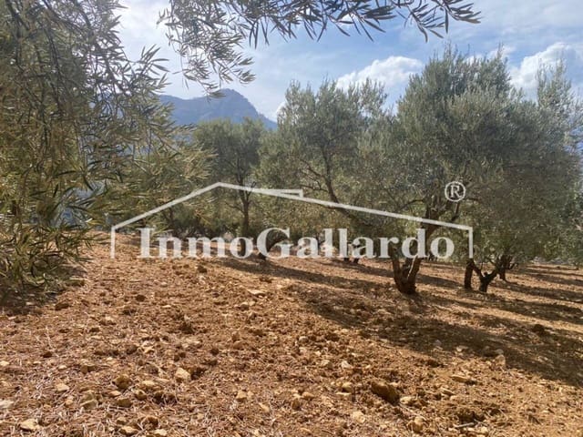 Ubebygd land til salgs i Ronda - € 92 000 (Ref: 8115778)