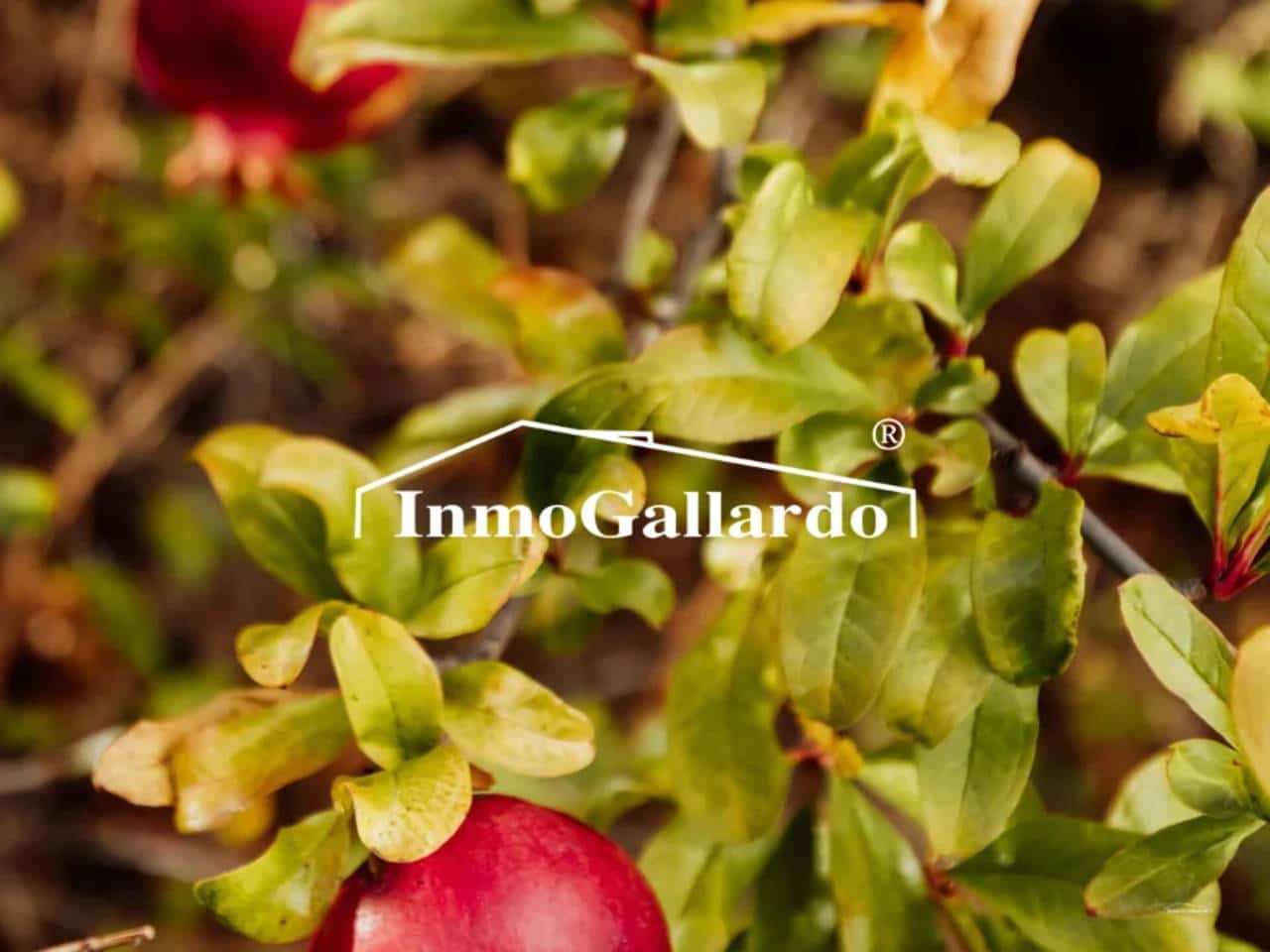 2 sypialnia Finka/Dom wiejski na sprzedaż w Miasto Malaga z garażem - 478 000 € (Ref: 8603194)