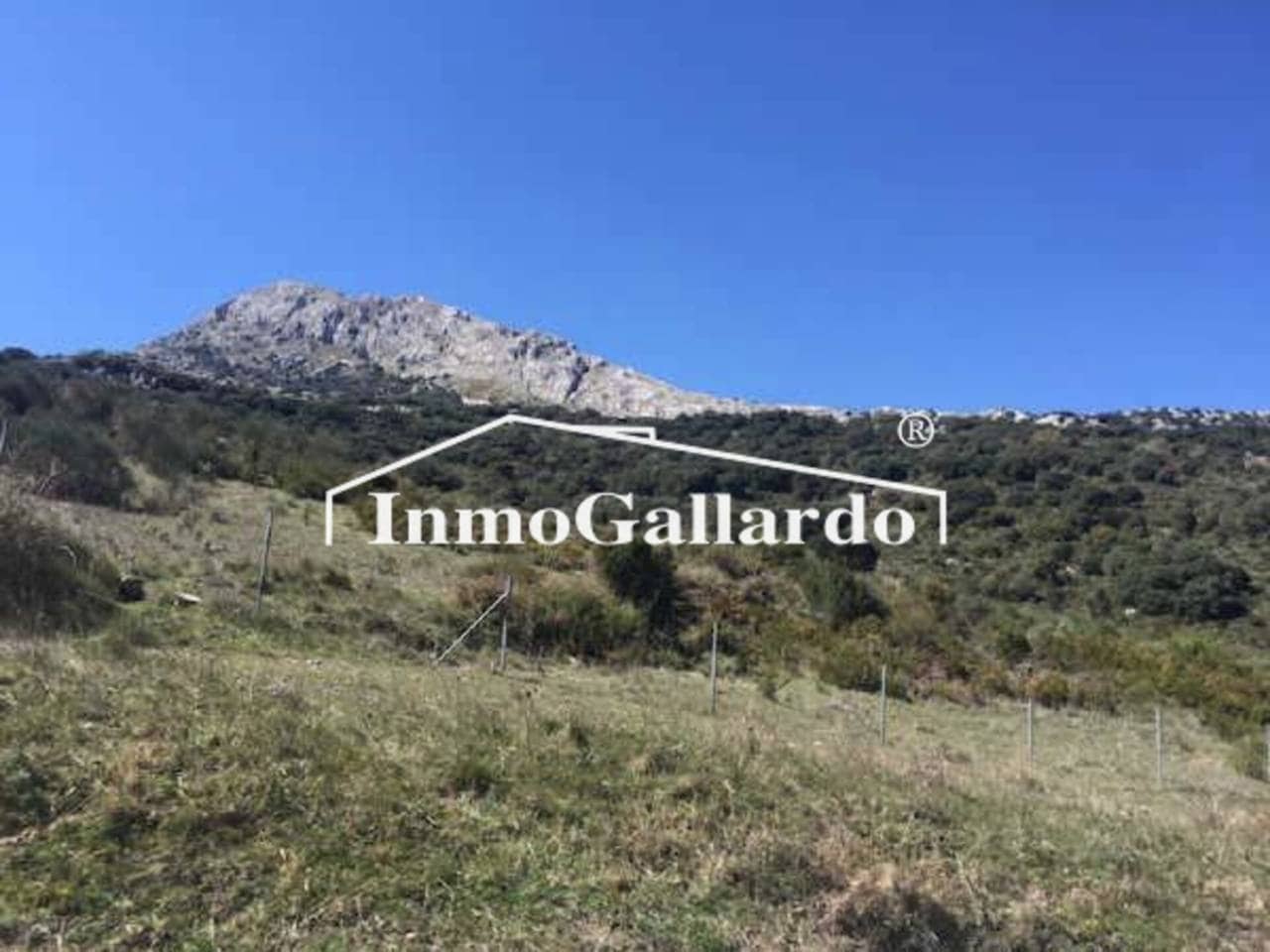 Grunde uden byggetilladelser til salg i Alfarnatejo - € 3.016.000 (Ref: 8723494)