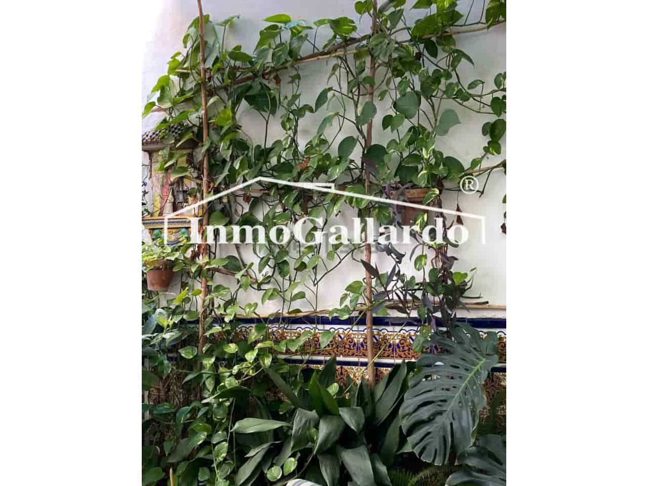 5 soveværelse Rækkehus til salg i Malaga by - € 470.000 (Ref: 8910743)