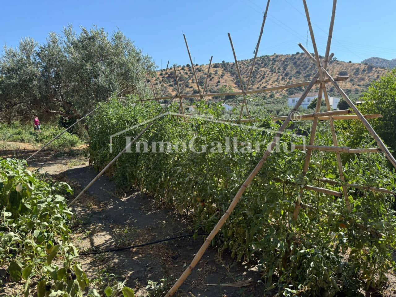 5 sypialnia Finka/Dom wiejski na sprzedaż w Bermejo z garażem - 530 000 € (Ref: 9130240)