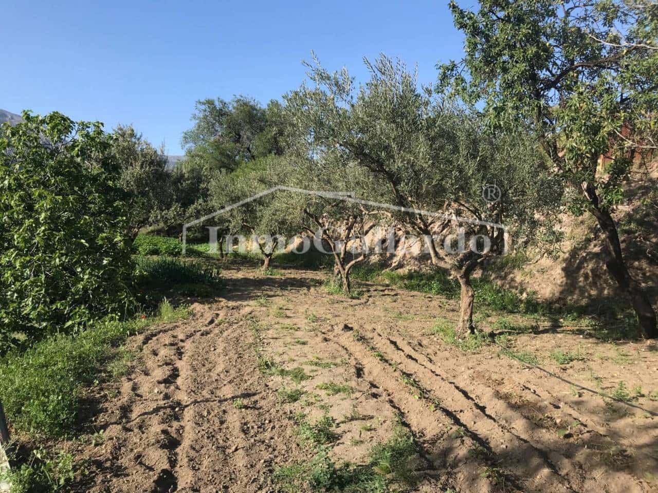 5 sypialnia Finka/Dom wiejski na sprzedaż w Bermejo z garażem - 530 000 € (Ref: 9130240)