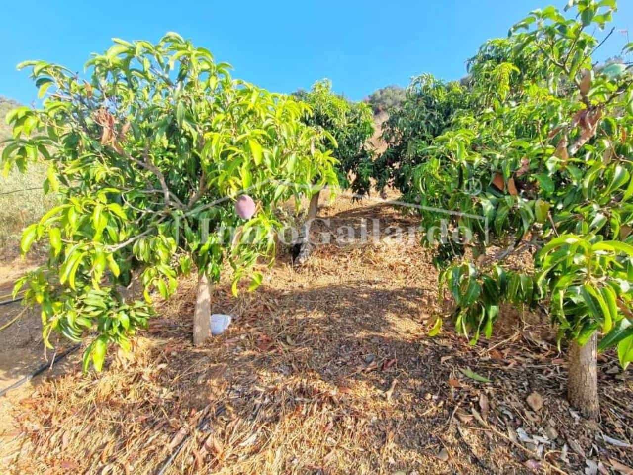 1 soveværelse Finca/Landehus til salg i Totalan med garage - € 158.800 (Ref: 9235880)