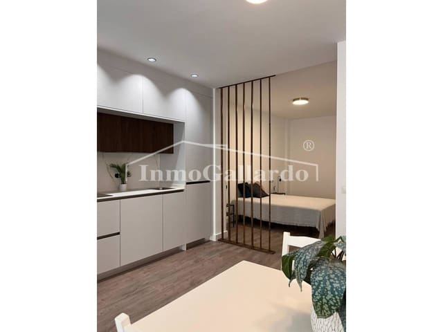 Piso de 1 habitación en Málaga ciudad en venta - 245.000 € (Ref: 9239475)