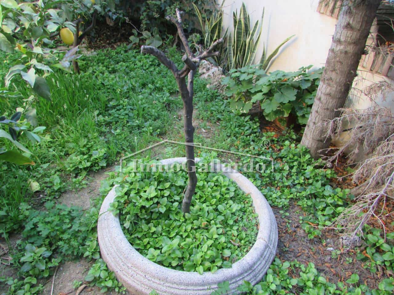 7 soverom Villa til salgs i Malaga by med svømmebasseng garasje - € 1 749 000 (Ref: 9710962)