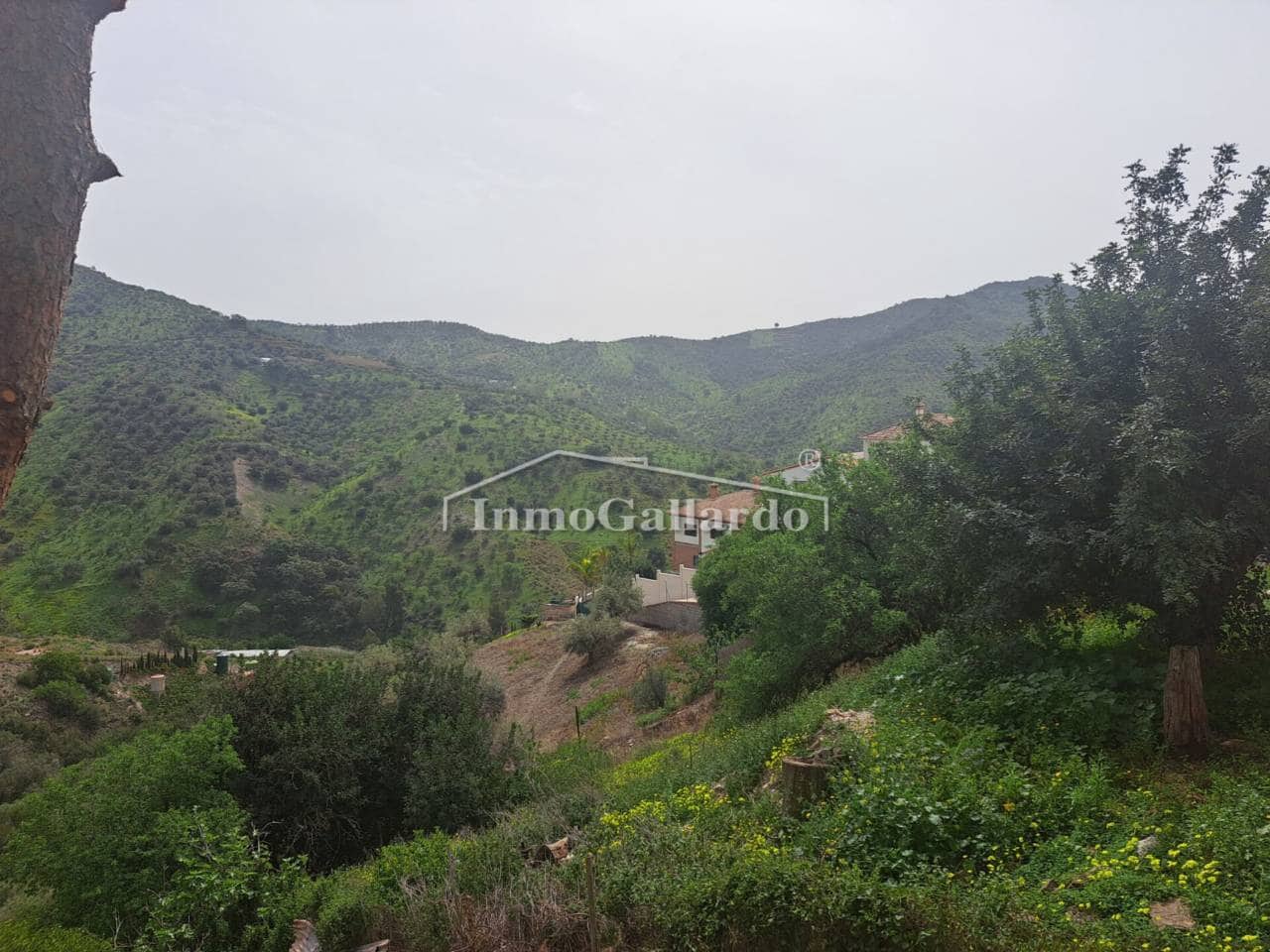 Ubebygd land til salgs i Totalan - € 150 000 (Ref: 9937408)