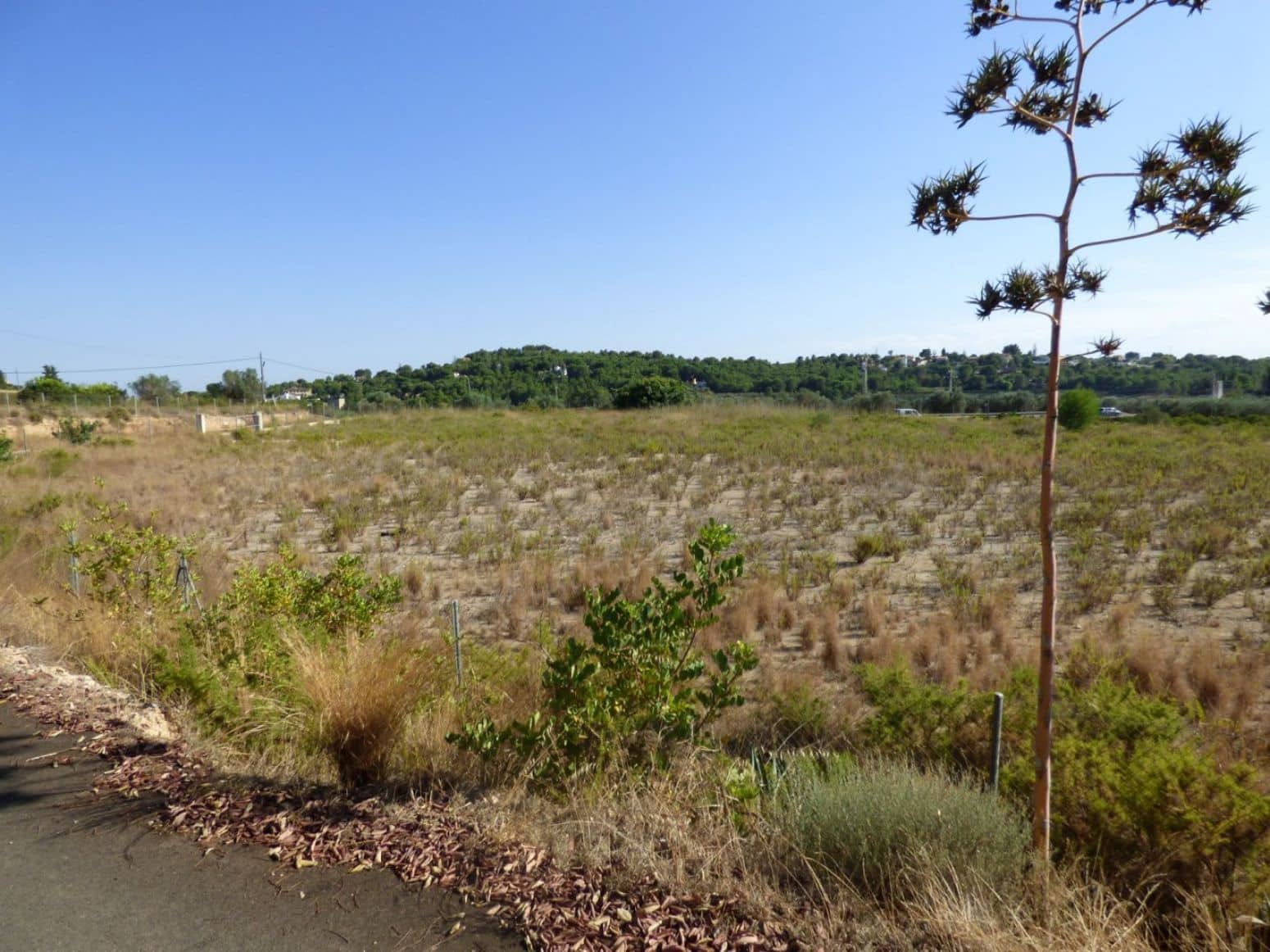 Mark till salu i Montserrat - 40 000 € (Ref: 9107734)