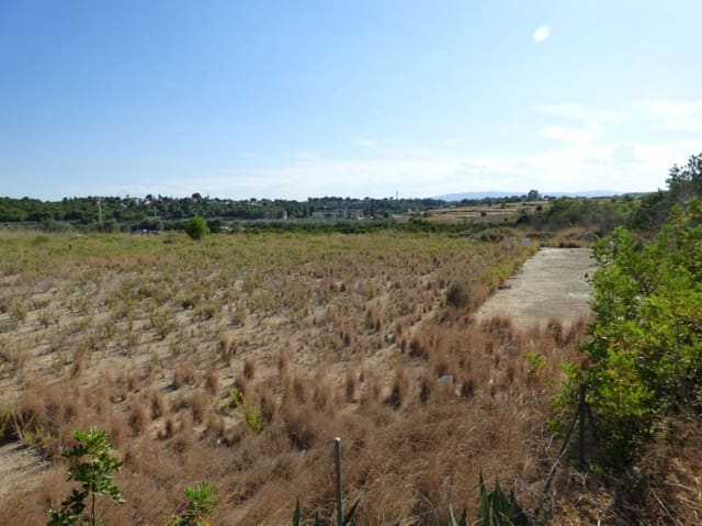 Ubebygd land til salgs i Montserrat - € 40 000 (Ref: 9107734)