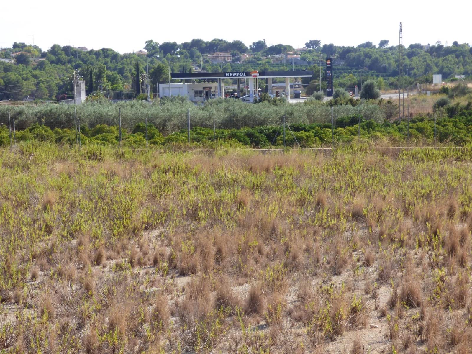 Teren niezagospodarowany na sprzedaż w Montserrat - 40 000 € (Ref: 9107734)