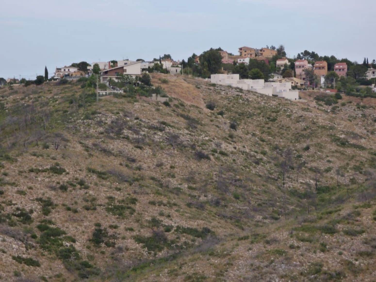 Terrain à Bâtir à vendre à Torrent - 155 000 € (Ref: 9107735)