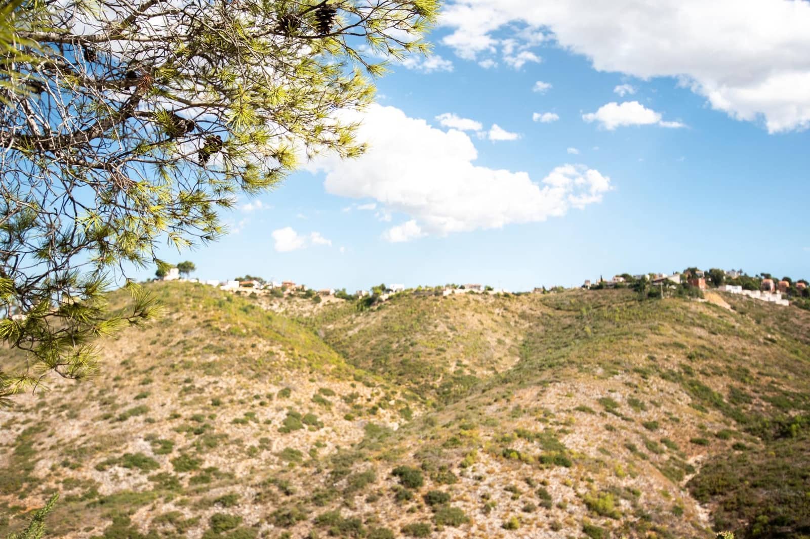 Terrain à Bâtir à vendre à Torrent - 155 000 € (Ref: 9107735)