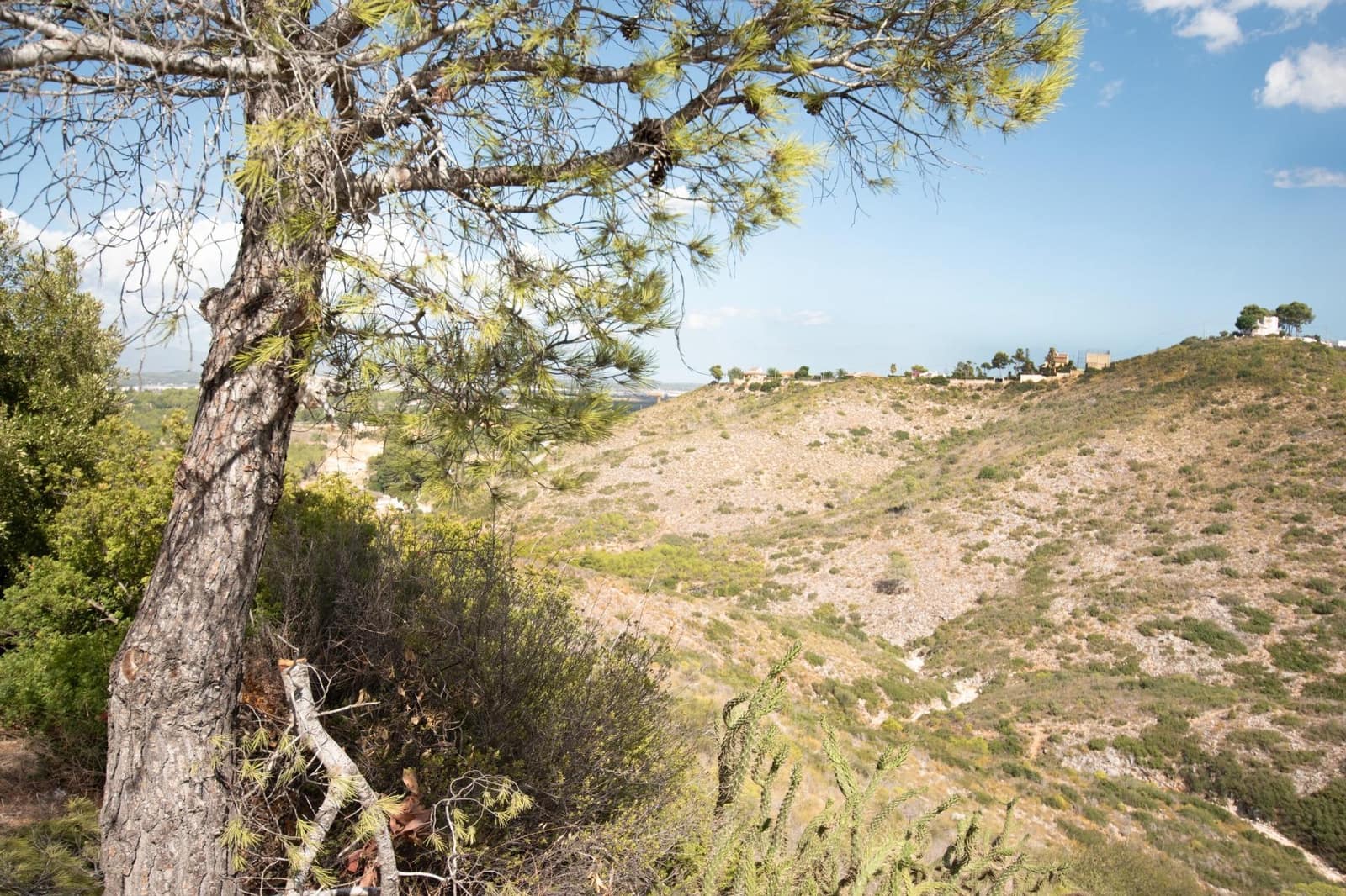 Terrain à Bâtir à vendre à Torrent - 155 000 € (Ref: 9107735)