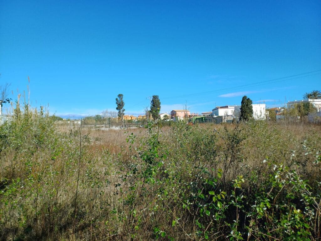 Terreno Non Edificato in vendita in Oliva - 90.000 € (Rif: 8252178)