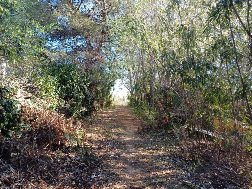 Terreno Non Edificato in vendita in Oliva - 90.000 € (Rif: 8252178)